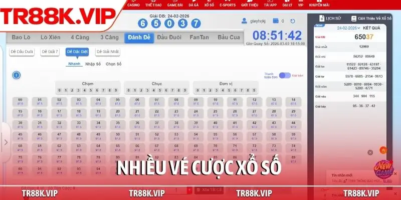 Nhiều vé cược xổ số